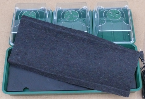 Anzuchtstation mit Bew�sserung