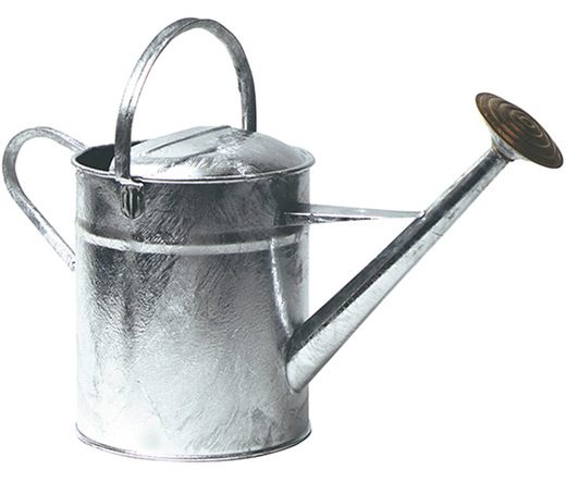 Echt englische Gie�kanne