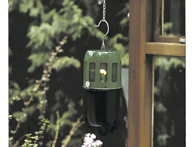 Gew�chshausheizung Bio Green Modell 560 f�r Petroleum