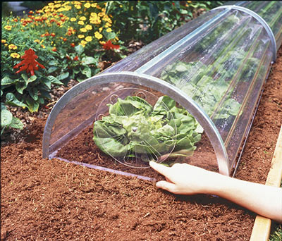 Tunnel Fr�hbeet mit Stahlrahmen 2. Wahl