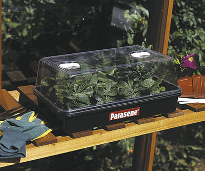 Zimmergew�chshaus f�r Anzucht