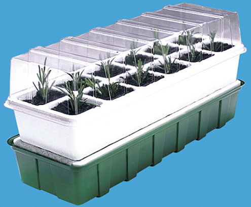 Zimmergew�chshaus mit 12 Zellen