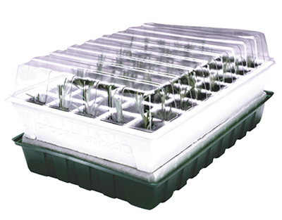 Automatisch bew�sserndes Zimmergew�chshaus